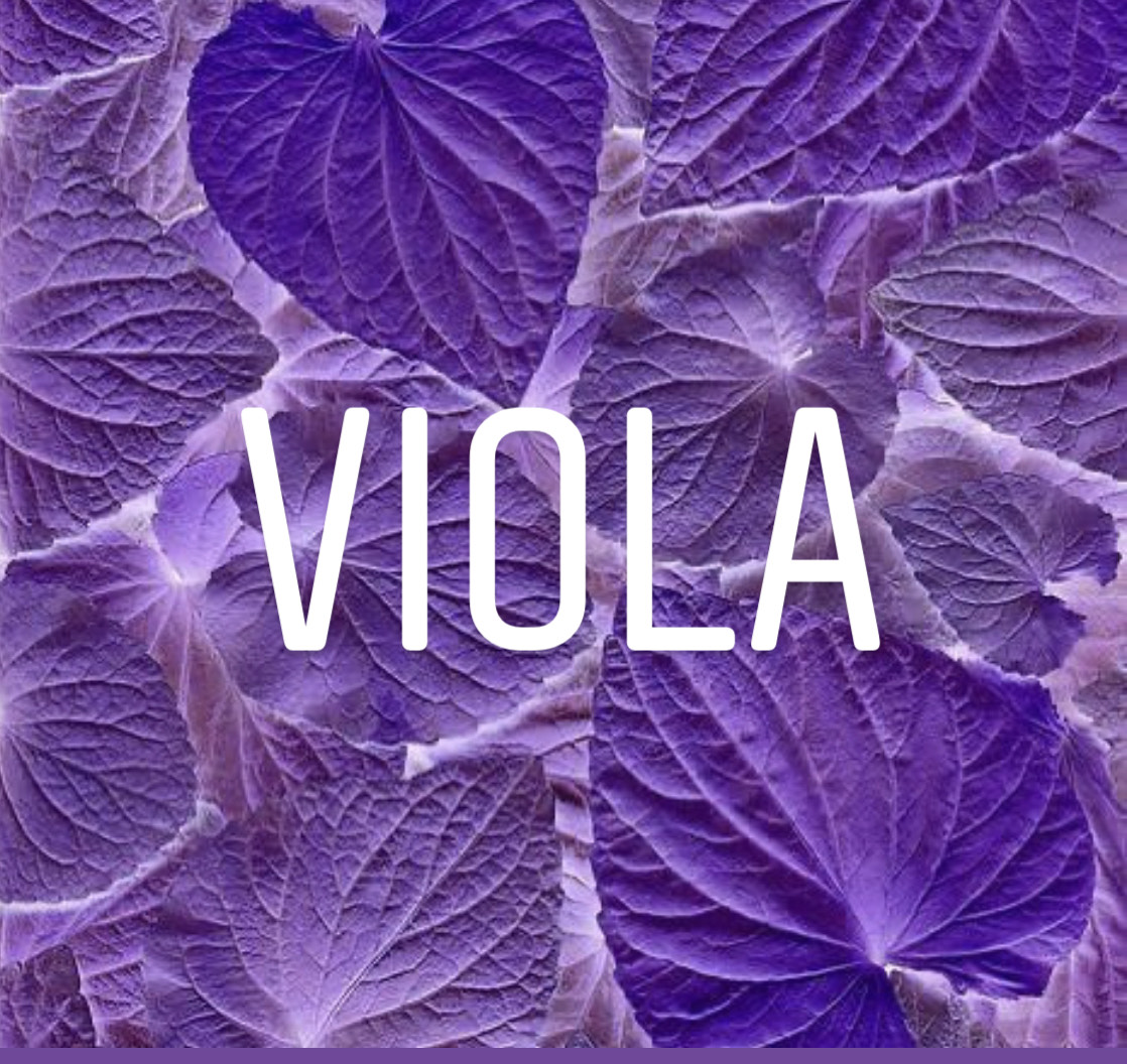 ARMOCROMIA IL NOBILE VIOLA, COSA CI COMUNICA? ARMOCROMIA IL NOBILE VIOLA, COSA CI COMUNICA?